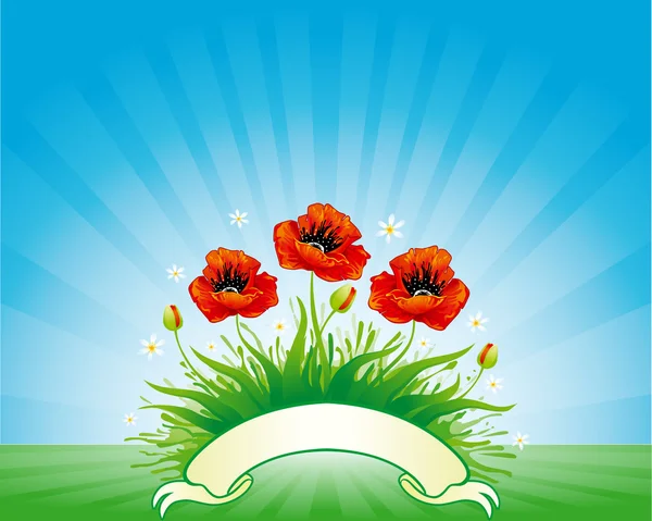 Background with poppy and banner — Stock Vector