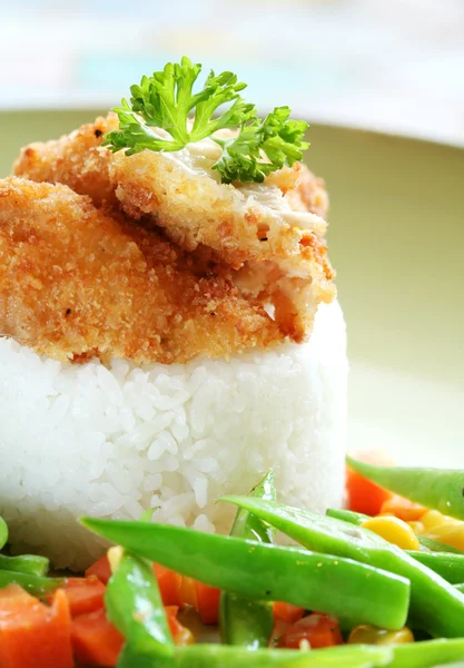 닭고기 쌀 토 핑 — 스톡 사진