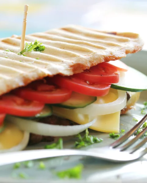 stock image Cracker Sandwich