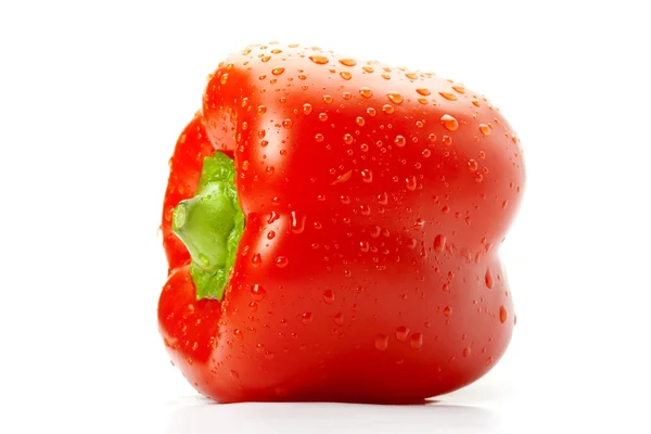Nahaufnahme einer feuchten Paprika — Stockfoto