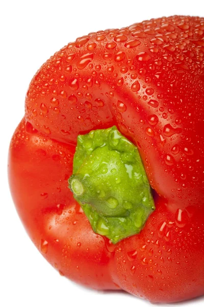Pepper with water drops on — Stock Photo, Image