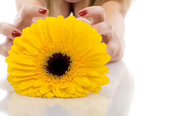 Blomma och kvinna händer — Stockfoto