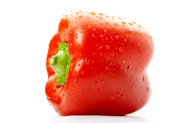 Červená sladká paprika — Stock fotografie