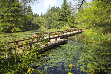 Path in botanical garden clipart