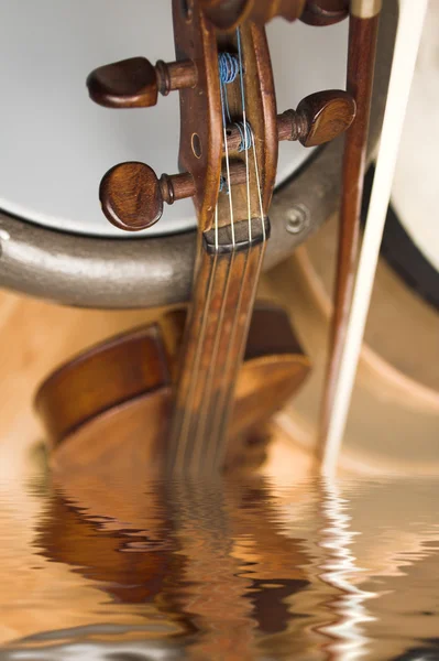 stock image Violon in water