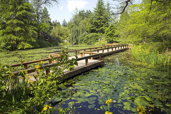 Path in botanical garden — Stock Photo, Image