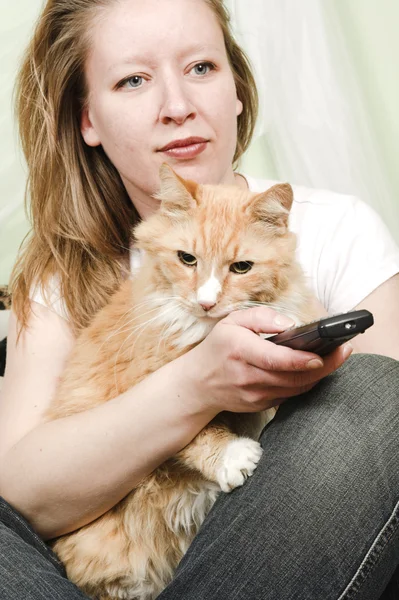 고양이 함께 tv를 시청 하는 소녀 스톡 이미지
