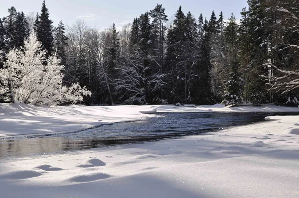 Zimowy krajobraz rzeczny — Zdjęcie stockowe