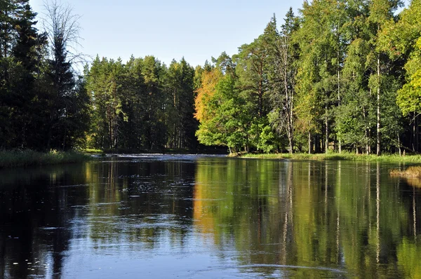 Řeka na podzim — Stock fotografie