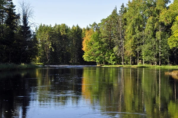 Río en otoño —  Fotos de Stock