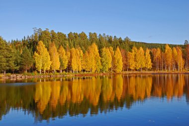 Lake in autumn clipart