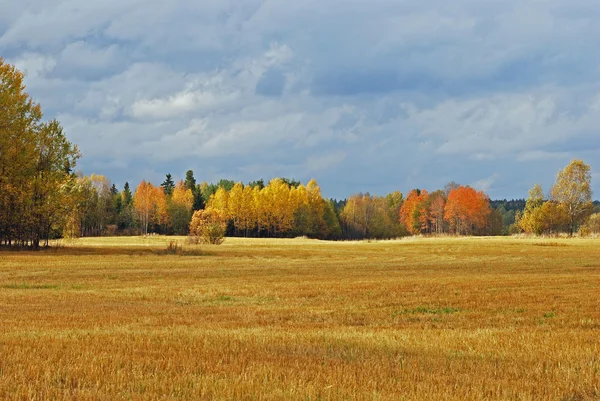 stock image Autumn landscape