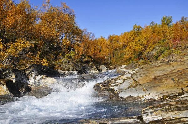 Malerischer Fluss im Herbst — Stockfoto