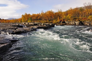 Scenic river in autumn clipart