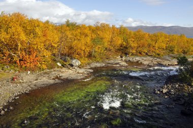 Scenic river in autumn clipart