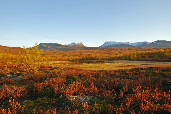 Landschap in de herfst — Stockfoto