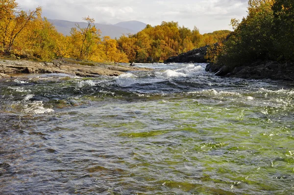 Scenic river in autumn — Stock Photo, Image