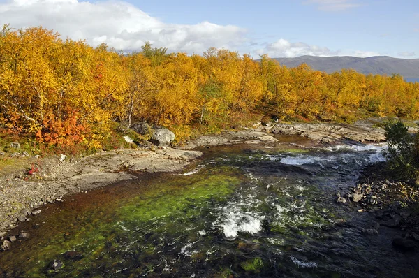 Сценическая река осенью — стоковое фото