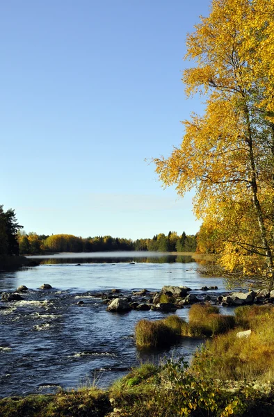 Rivière en automne — Photo