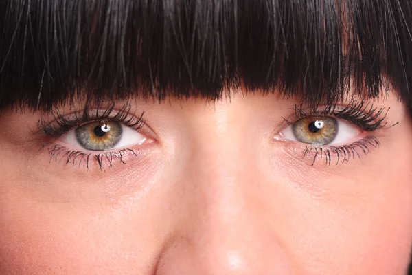 O olho feminino bonito macro — Fotografia de Stock