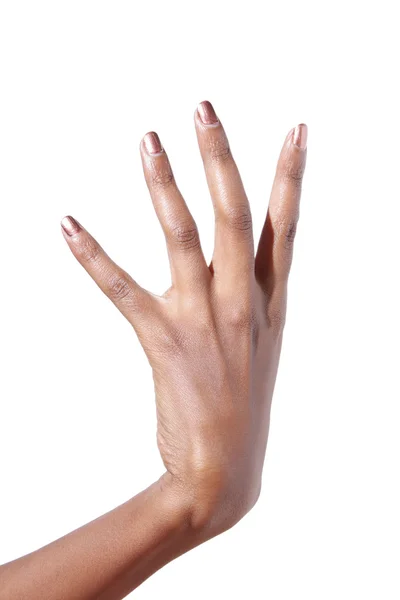 Elegante vrouwelijke hand — Stockfoto