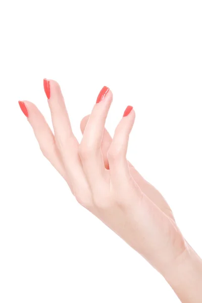 Mão feminina sobre um fundo branco — Fotografia de Stock