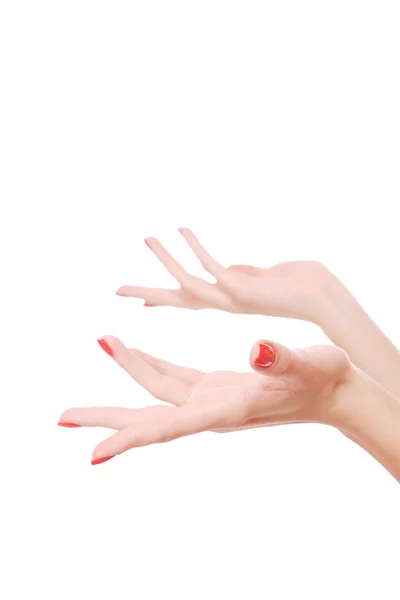 Beyaz arkaplanda bir kadın eli — Stok fotoğraf