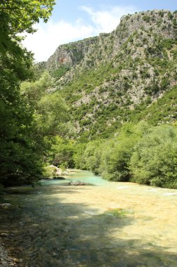 Dağları, ormanı ve nehri olan bir manzara.