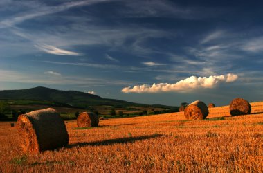 Straw-field with bales ins sunset clipart