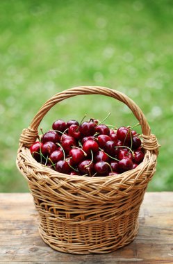 Cherry in basket clipart