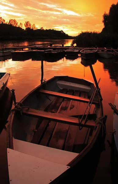 Залив лодок на красивом красочном солнце — стоковое фото