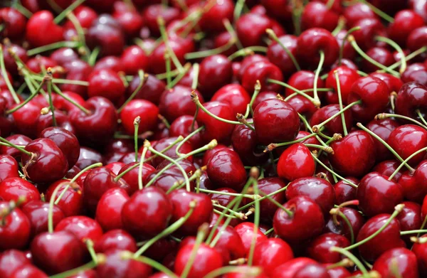 Sweet cherry i hög — Stockfoto