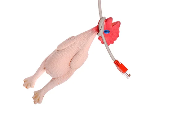 치킨 장난감 — 스톡 사진