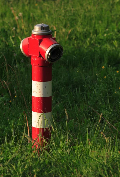 Красный пожарный гидрант среди зеленой травы — стоковое фото