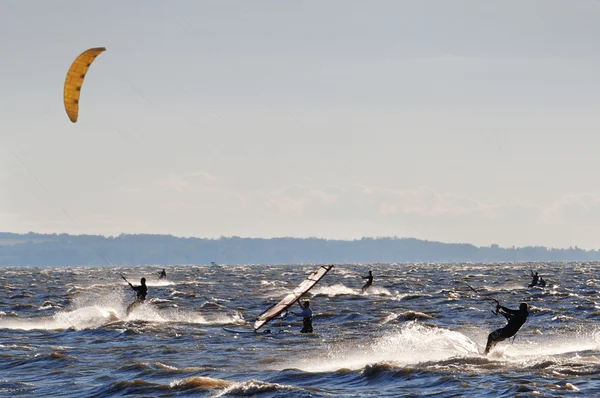 Rüzgar ve uçurtma sörfü — Stok fotoğraf