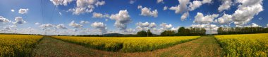 Rapefield