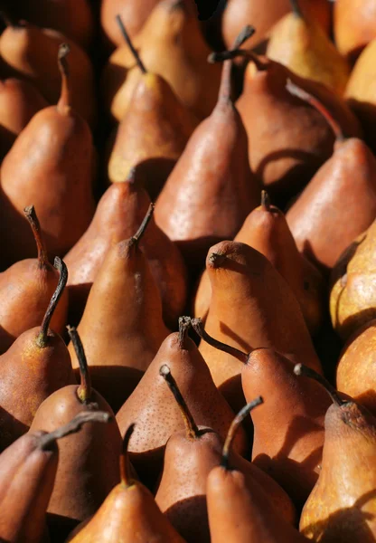 Browny päron — Stockfoto