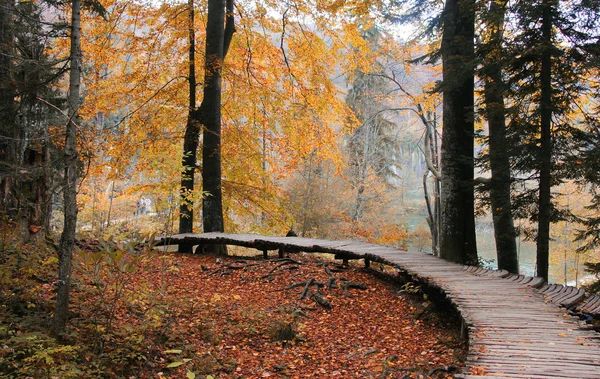 Herfst in plitvice nationaal park — Stockfoto