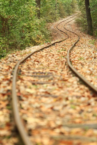 Ferrocarril en otoño —  Fotos de Stock