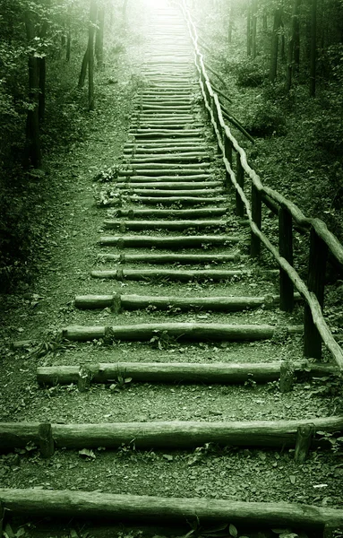 Cennete giden merdiven Stok Fotoğraf