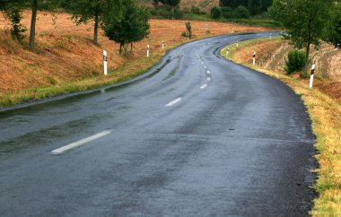 Road after rain clipart