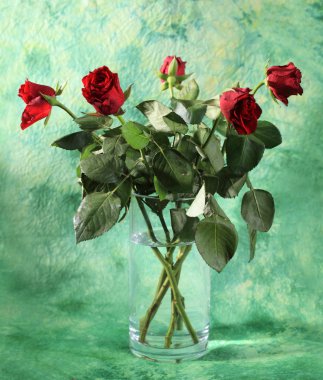 Red roses in vase clipart