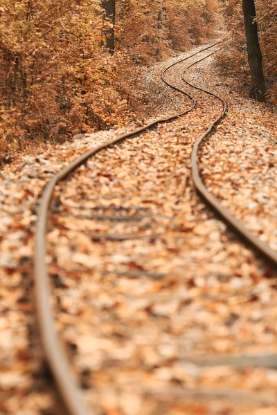 La vía del tren en otoño — Foto de Stock