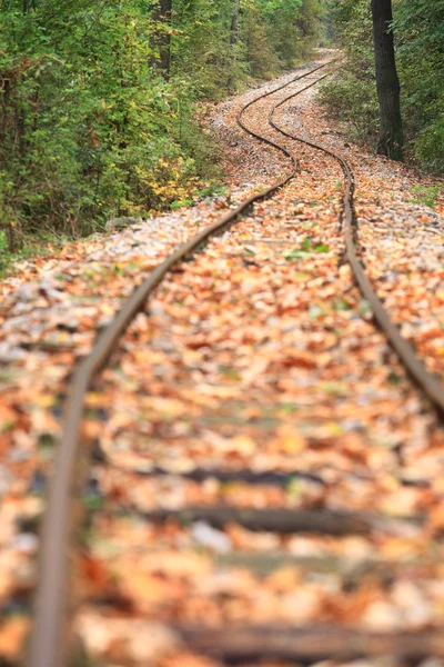 Железнодорожная трасса осенью — стоковое фото