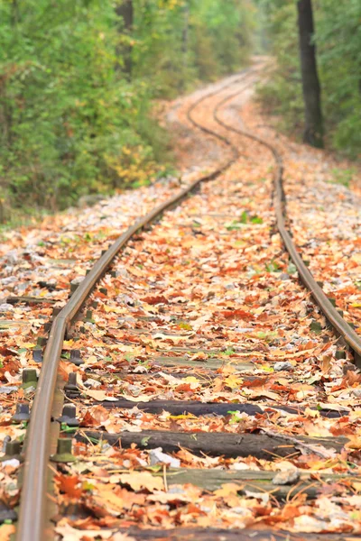 Железнодорожная трасса осенью — стоковое фото