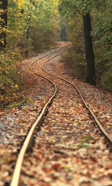 Trilha de trem no outono — Fotografia de Stock