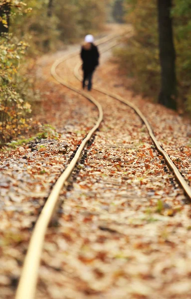 Treinspoor in de herfst — Stockfoto