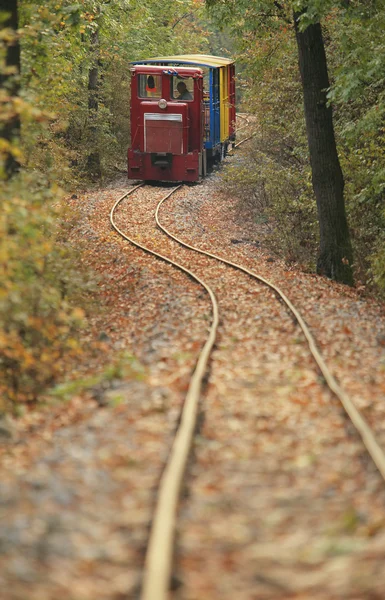 Železniční trať na podzim — Stock fotografie