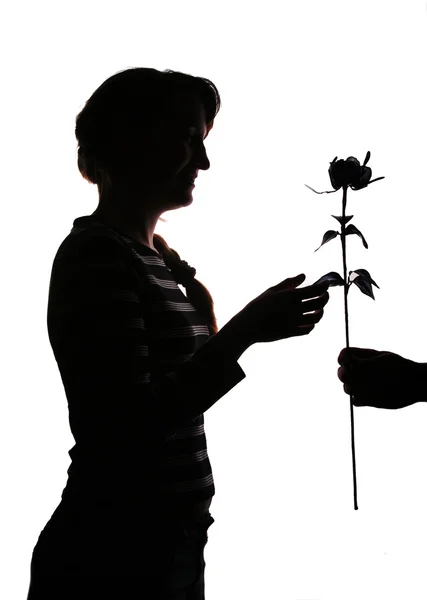 Růže pro dárek — Stock fotografie