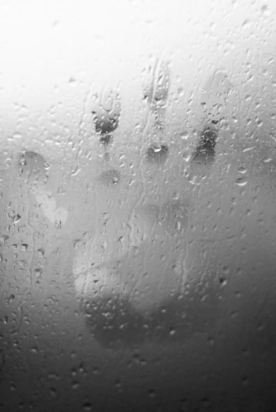 Drops on window — Stock Photo, Image